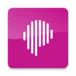 p4 radio android application logo